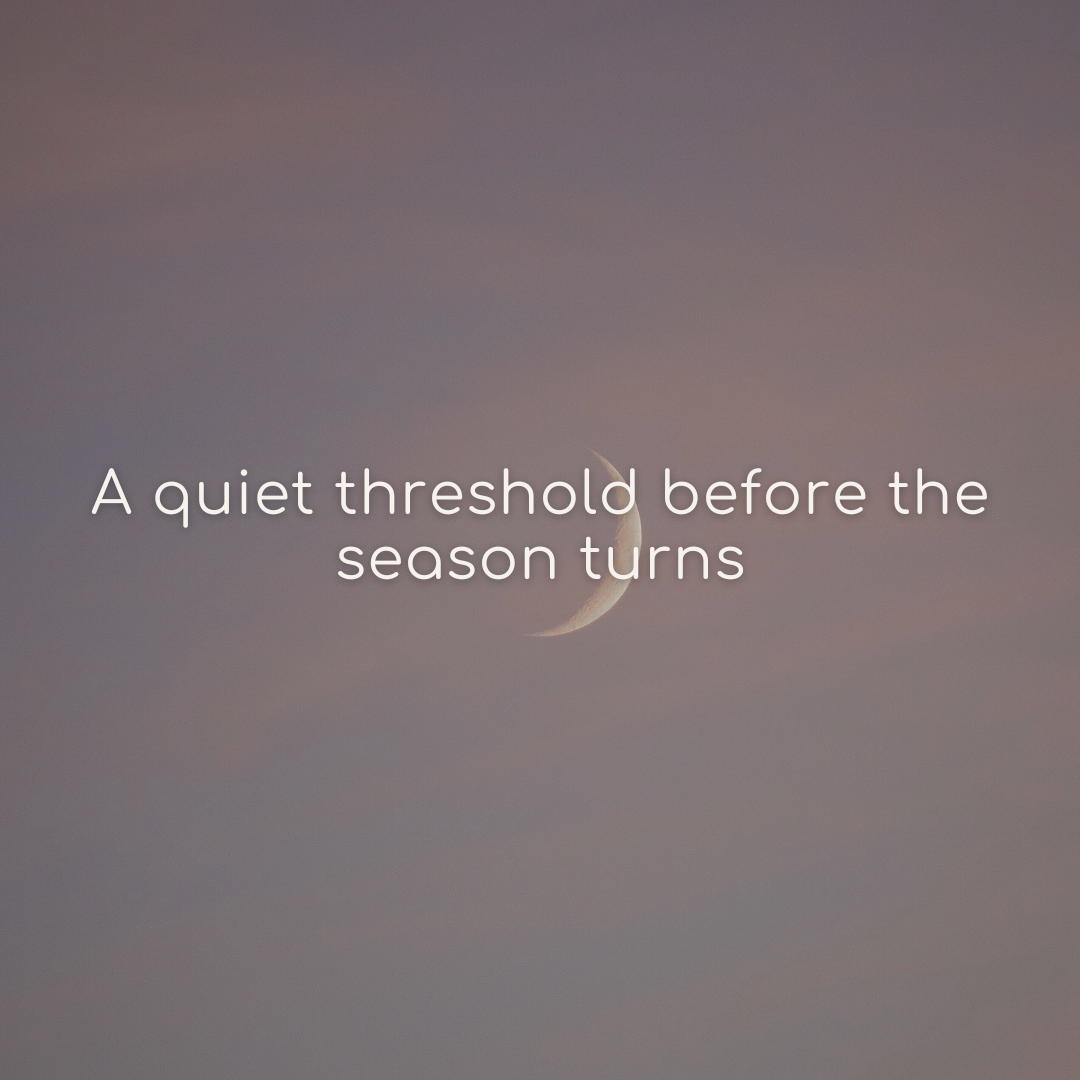 A New Moon reflection for soft release, presence, and the threshold of a new season