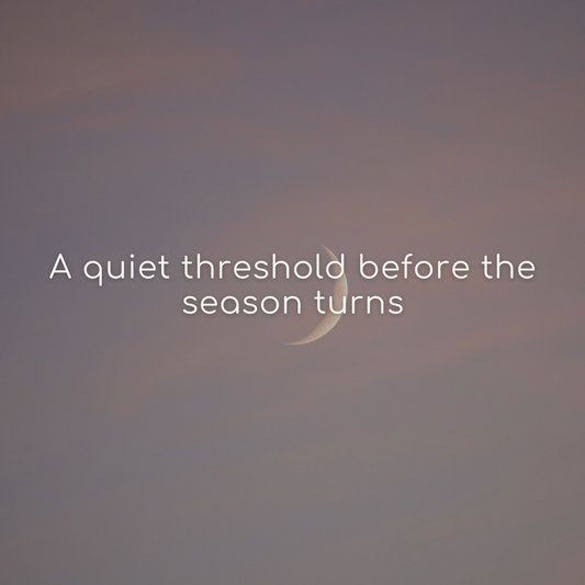 A New Moon reflection for soft release, presence, and the threshold of a new season